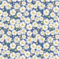 Cadeauzakjes | Daisy