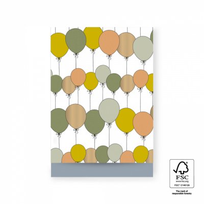 Cadeauzakjes | Ballonnen