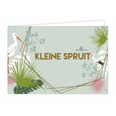Kaarten | Kleine spruit blauw